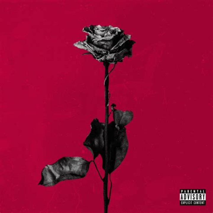 Deadroses lyrics