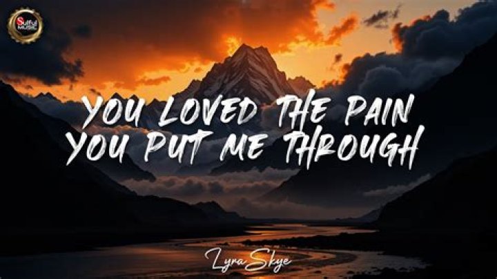 Pain you put me through lyrics