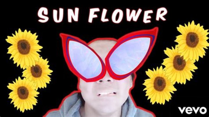 Sunflower sus lyrics