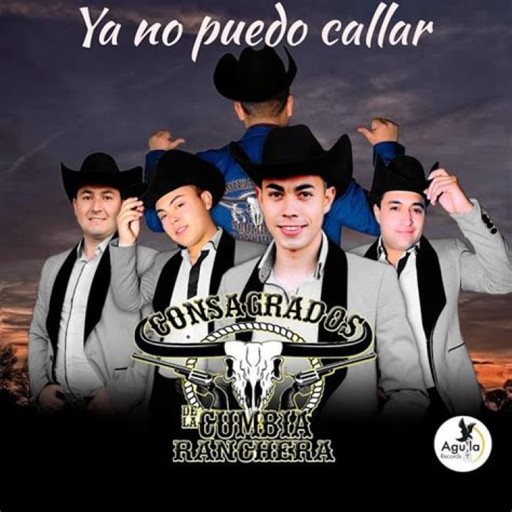 Yo no puedo callar comanche lyrics